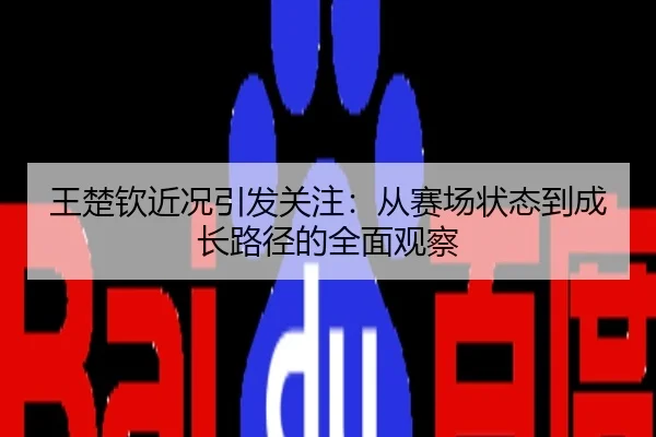 王楚钦近况引发关注：从赛场状态到成长路径的全面观察