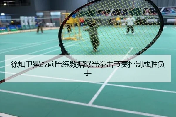 徐灿卫冕战前陪练数据曝光拳击节奏控制成胜负手