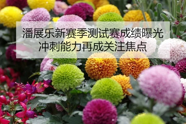 潘展乐新赛季测试赛成绩曝光 冲刺能力再成关注焦点
